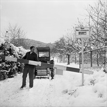 Foot-and-mouth disease Wädenswil 1965: Infected animals were fetched