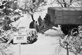 Foot-and-mouth disease Wädenswil 1965: Infected animals were fetched