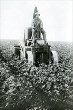 Cotton Picking Machine