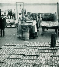 This 1903 photo shows inside a sardine factory in Maine.