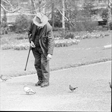 Old man feeding pigeons, circa in 1955.