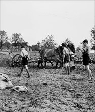 Scouts achieve national duty, farming camp in Switzerland 1939.