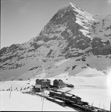 Kleine Scheidegg, Lauberhorn; 1950.