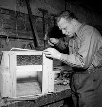 Schaggi Streuli building a rabbit hutch, around 1949.