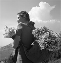 Young women with Montreux-narcissus in Les Avants, around 1955.