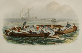 Tuna fishing. Drawing by Edouard Travies. Handcoloured engraving by Beyer. Chromolithography. ""Los