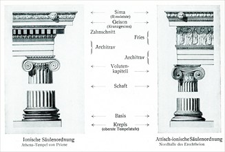 This illustration shows Ionic Order Column used in building the Temple of Athena at Priene  (left)