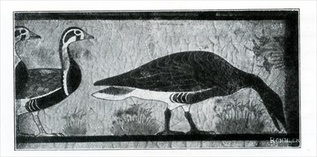 This illustration of a painting on a tomb wall in Meidum shows three geese. The time period is