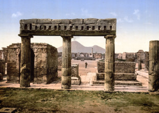 The Forum