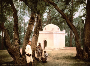 The Sacred Forest Near Blidah In Algeria