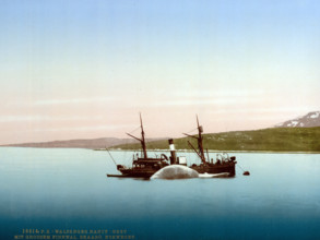 Whaling scenes on Skaaro. The Nancy Grey with a whale, Norway, around 1895, historical, digitally