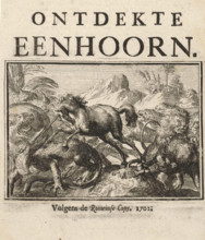 Title page for the pamphlet, The Discovered Unicorn, 1701, Holland, Historical, digitally restored