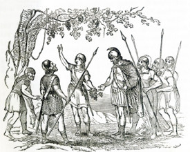 This illustration dates to around 1846 and shows the Northmen discovering grapes in Vinland.