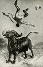 The caption for this 1912 illustration reads:  Terrible meeting with a buffalo. The South African