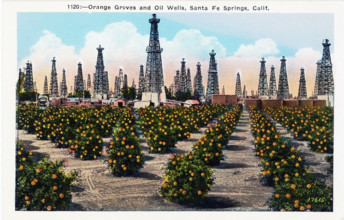 Oranges and Oil in California