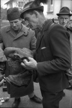 Thun, selling of disused army equipment, man examining shoes; 1969.