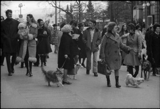 Dog owner demonstrate against new law and higher dog licence fee.