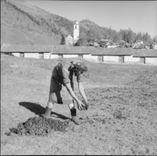 Walser village Bosco Gurin: woman working in a filed; 1956.