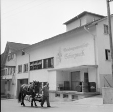 Viticultural cooperative society Schinznach, 1959.