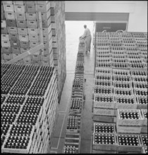 Lausanne, Coca-Cola bottling plant, crate; 1949.