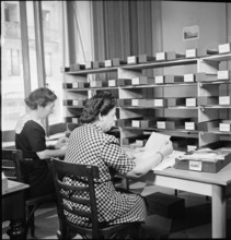 Bureau of the the International Red Cross, 1944.