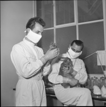 Pharma developper team with animals, Basel 1952.
