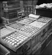 Import of eggs from America; abolishment of rationing; 1946.