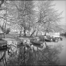 Lucerne, Inseli Municipal Park; 1954.