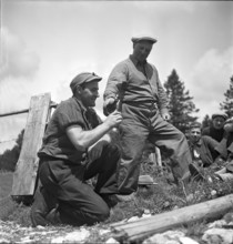Drink at the alp Ravette, Doubs 1952.