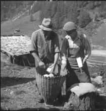 Cheese donation in the Turtmanntal valley, Switzerland, 1940.