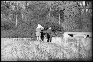 Spring, january 1971.