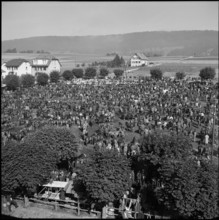 Horse market of Chaindon-Reconvilier, 1954.