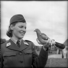 Woman soldier with carrier pigeon, Fribourg 1962.