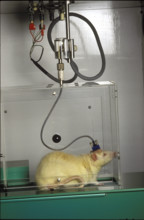Laboratory Council, 1987
