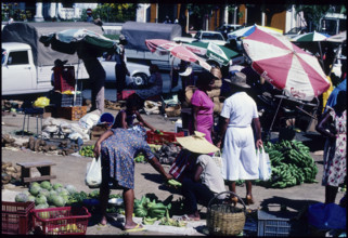 Food market in Pointre-A-Pitre, Guadeloupe 1985.