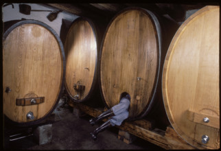 Cleaning the oak barrels in the wine cellar 1983.