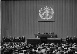 Sithu U Thant: WHO Plenary Session in Geneva 1966.