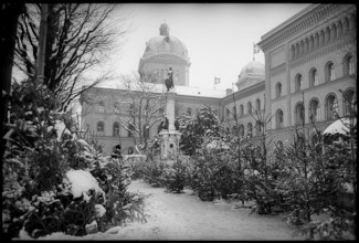 Christmas tree market in Berne 1967.