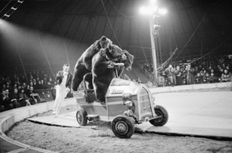 Circus Knie 1964: Ruppert's bears driving a car.