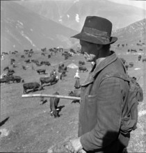 Leading the cattle to the Alpine pastures in the Valais, 1942.