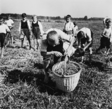 Children farming.