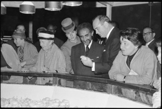 Director Ruckstuhl (r) shows Emperor Haile Selassie a chick at the Expo in Lausanne, 1964.