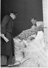 WW 2: border in Geneva, control of merchandise, 1943.