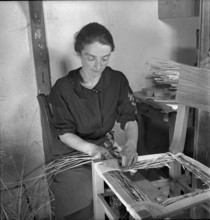 Woman braiding straw around a chair, 1940.