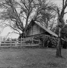 Hochwacht near Langnau; 1966.
