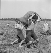 Schoolchildren gleaning; gleanings; 1941.