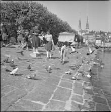 Lucerne, girls feeding pigeons; 1953.