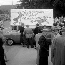 Solidarity with fired zoo director; dismissal; 1958.
