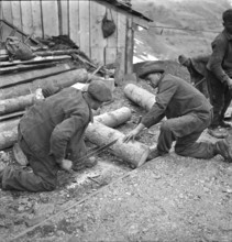 Valais, Miners sawing up tree trunk; Goltschried coal mine; 1941.