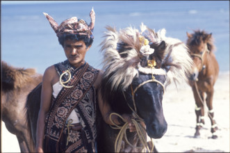 Man with horse on Sawu island, Indonesia, 1986.